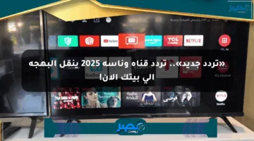 «تردد جديد».. تردد قناة وناسة 2025 ينقل البهجة إلى بيتك الآن!